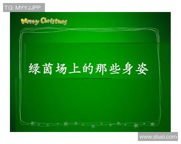 足球明星排名的标准与影响因素解析及其背后的评选机制探讨